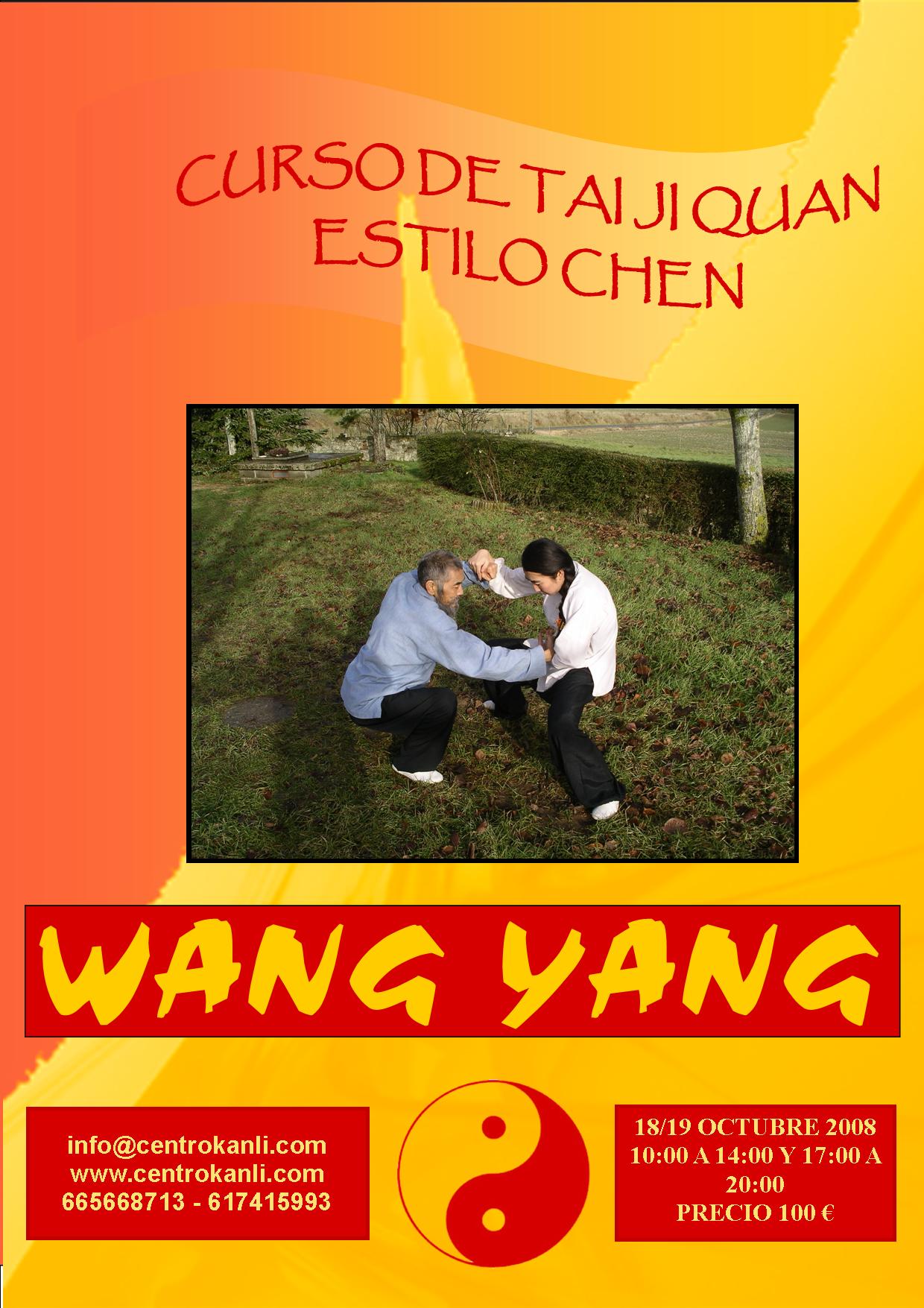 Formación Taijiquan