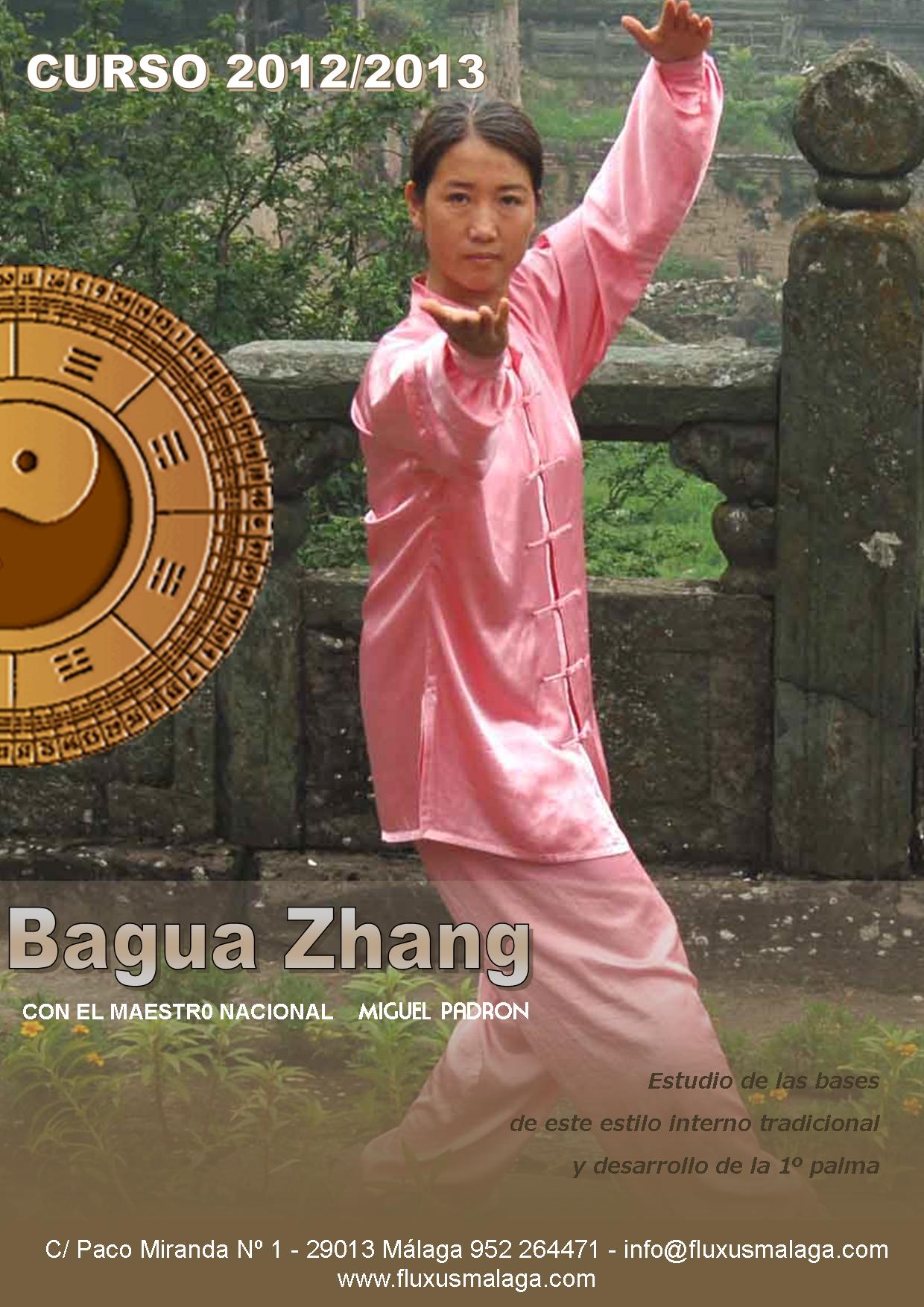 Formacionbagua 6