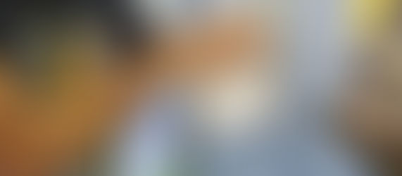 EN FLUXUS NOS ADAPTAMOS