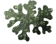 Nature filled with bryophytes and plants