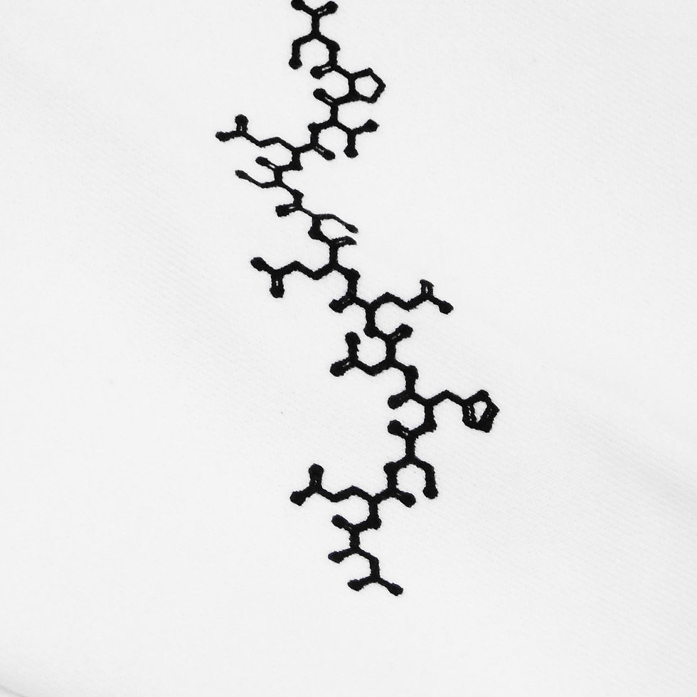 サムネイル： 《毒と薔薇》10.0oz Pullover Hoodie※WHITE