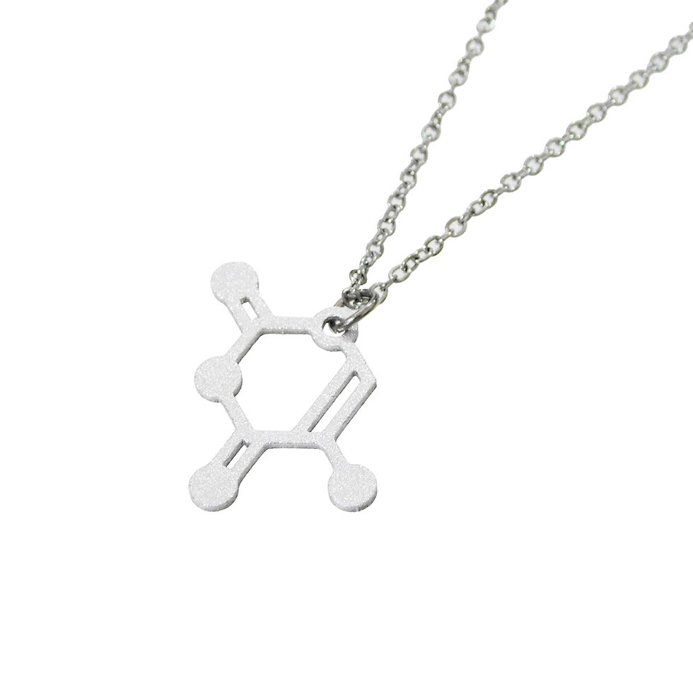 サムネイル： 《科学雑貨Scientia》アデニン+チミンペアネックレス※シルバー