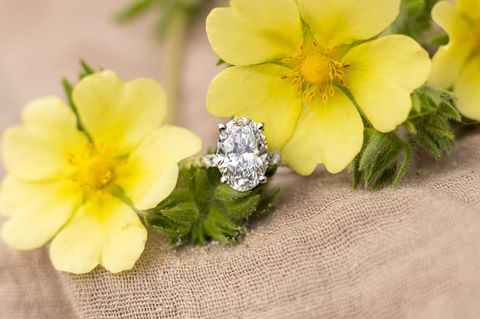 Oval Pave Dbl Hidden Halo
