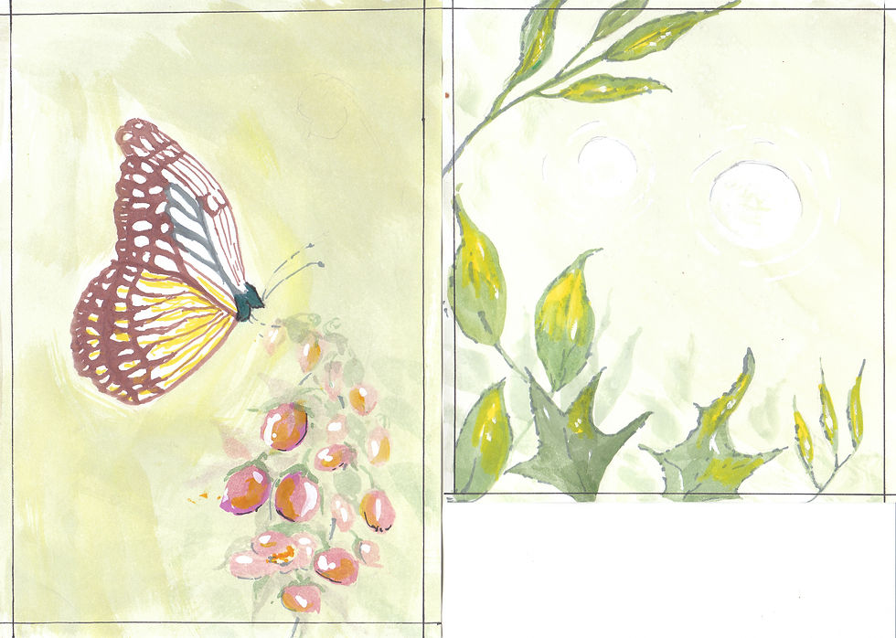 Butterfly totem from a spirit.