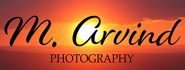 logo sunset 2.png