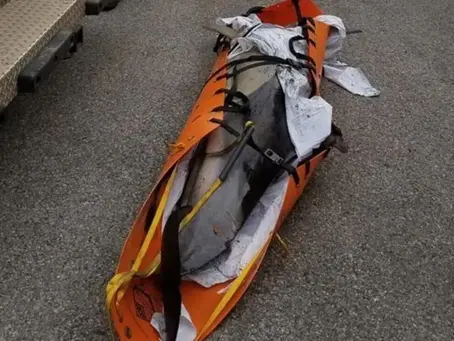 Dead dolphin in Mount Vernon raises pollution concerns