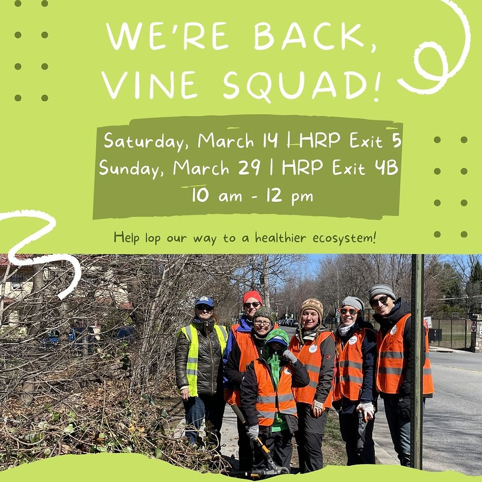 EcoPel's Vine Squad