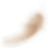 feather_2x.png