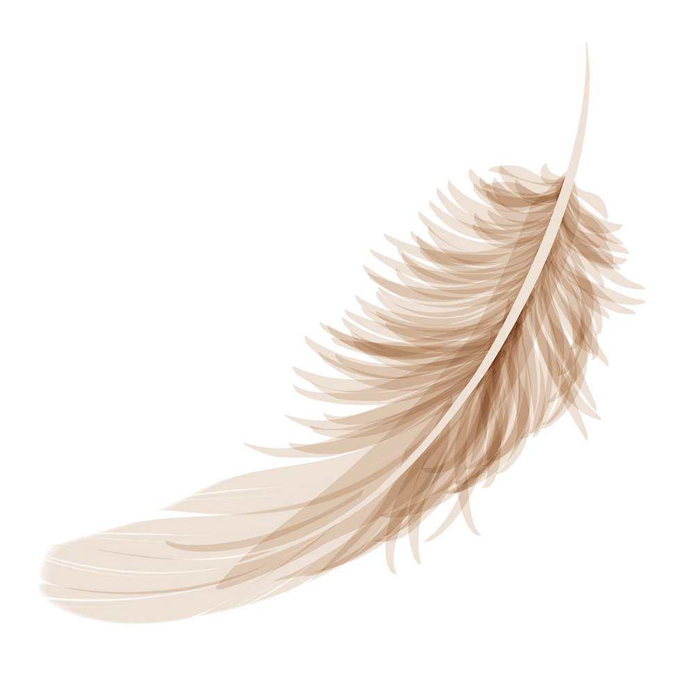 feather_2x.png