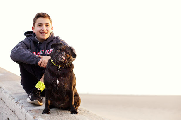 Julie Weisberg Pet Photographer, Julie Weisberg family photographer