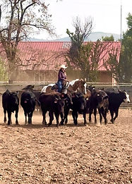 North Idaho Horsemanship Academy.jpg