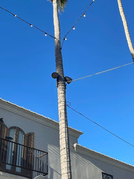 Temecula Outdoor Audio, Landscape speakers, Outdoor Entertainment, TruAudio Speakers
