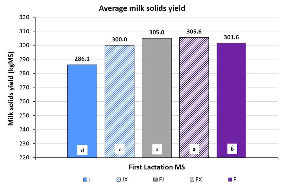 Figure 2. Average first lactation milk solids (MS) production of NZ dairy heifers that were Jersey (J;blue), Jersey crossbred (JX:blue stripe), Holstein-Friesian (F;purple), Holstein-Friesian crossbred (FX;purple stripe) or Holstein-Friesian-Jersey crossbred (FJ:grey)