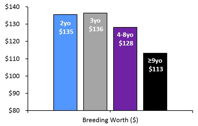 Figure 3: The estimated Breeding Worth (BW in $) before first calving for heifers that were born to dams aged 2, 3, 4-8 or 9 years and over.