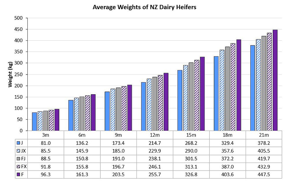 Figure 1. Average weights of NZ dairy heifers that were Jersey (J;blue), Jersey crossbred (JX:blue stripe), Holstein-Friesian (F;purple), Holstein-Friesian crossbred (FX;purple stripe) or Holstein-Friesian-Jersey crossbred (FJ:grey)