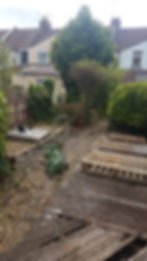 Existing Garden