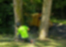 Certified Arborist Makes Cut