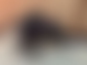 入荷のお知らせ