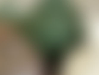 入荷のお知らせ