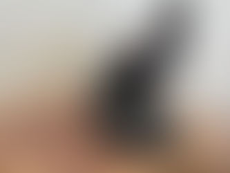 入荷のお知らせ