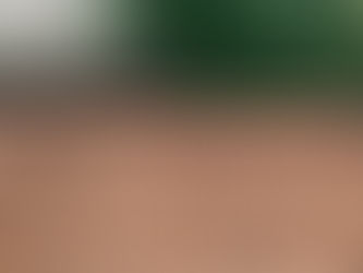 入荷のお知らせ