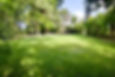 Scribblestown Gardens Lawn area