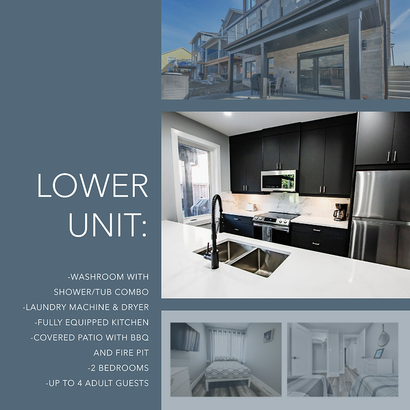 lower unit very newest.png