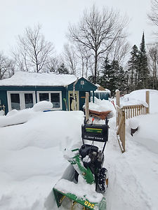 20260209_122149.jpg