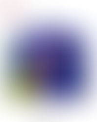 Partecipazione a Innsbruck Art Fair 2026