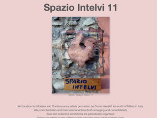 Presentazione del libro "Anche le cipolle piangono" allo Spazio Intelvi 11