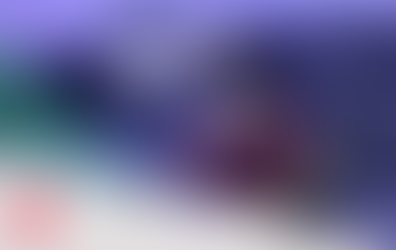 Therapy dog Boomer sitting on the sofa