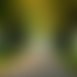 Stress Management Techniques: Finding Calm in a Busy World