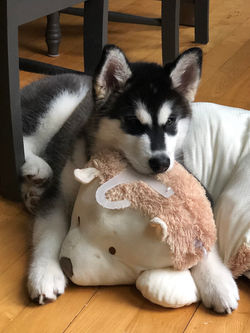 photo 2019-05-16, 5 01 41 pm