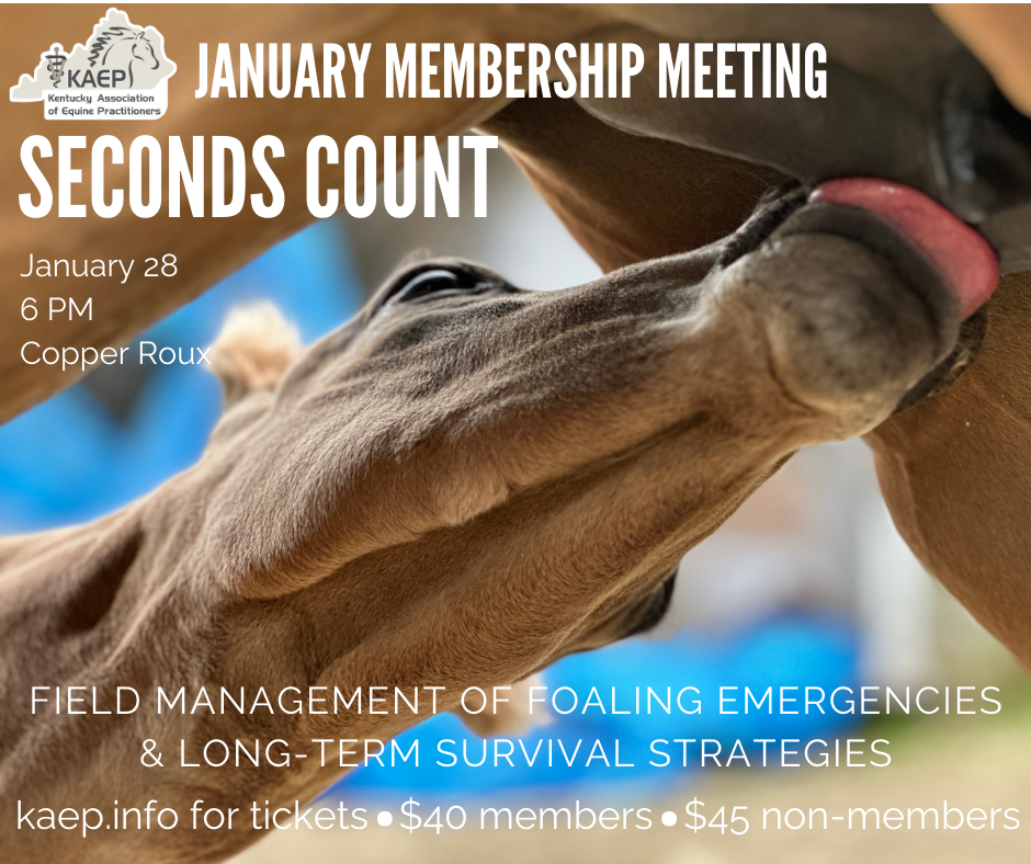Seconds Count: Field Management of Foaling Emergencies and Long-Term Survival Strategies