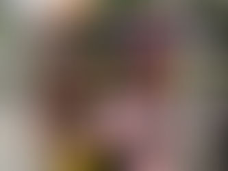 Transforming Floral Procurement: UFG's Modern Approach