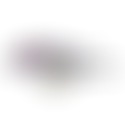 Student-designed mechanical arm built from FlexForge components and attached to Pilot robot