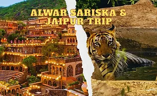 Alwar Sariska & Jaipur Trip.webp