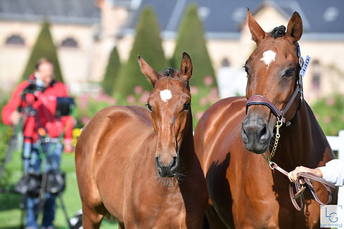 2020-09-05_1H4_8124.JPG