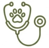 Stethoscope image
