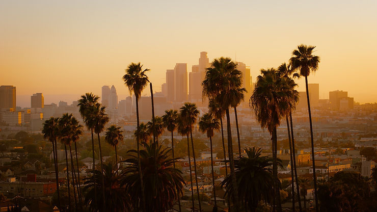Golden sunset over Los Angeles skyline framed by tall palm trees, with orange haze and city buildings in the background.