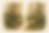 Pages Main Picture (1).png