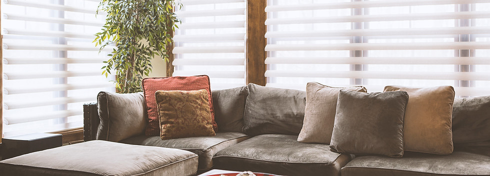 Couch with Blinds Behind