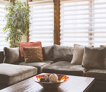 Couch with Blinds Behind