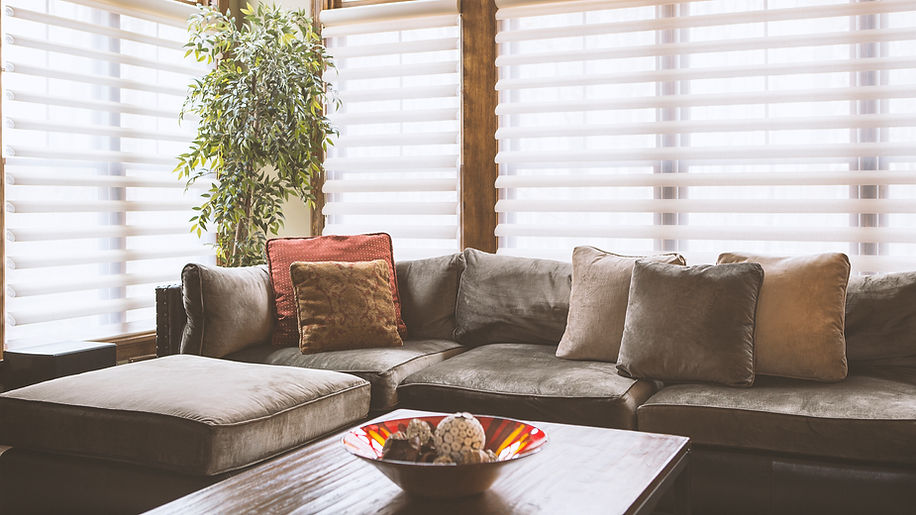 Couch with Blinds Behind