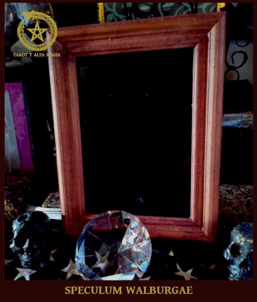 Speculum Walburgae