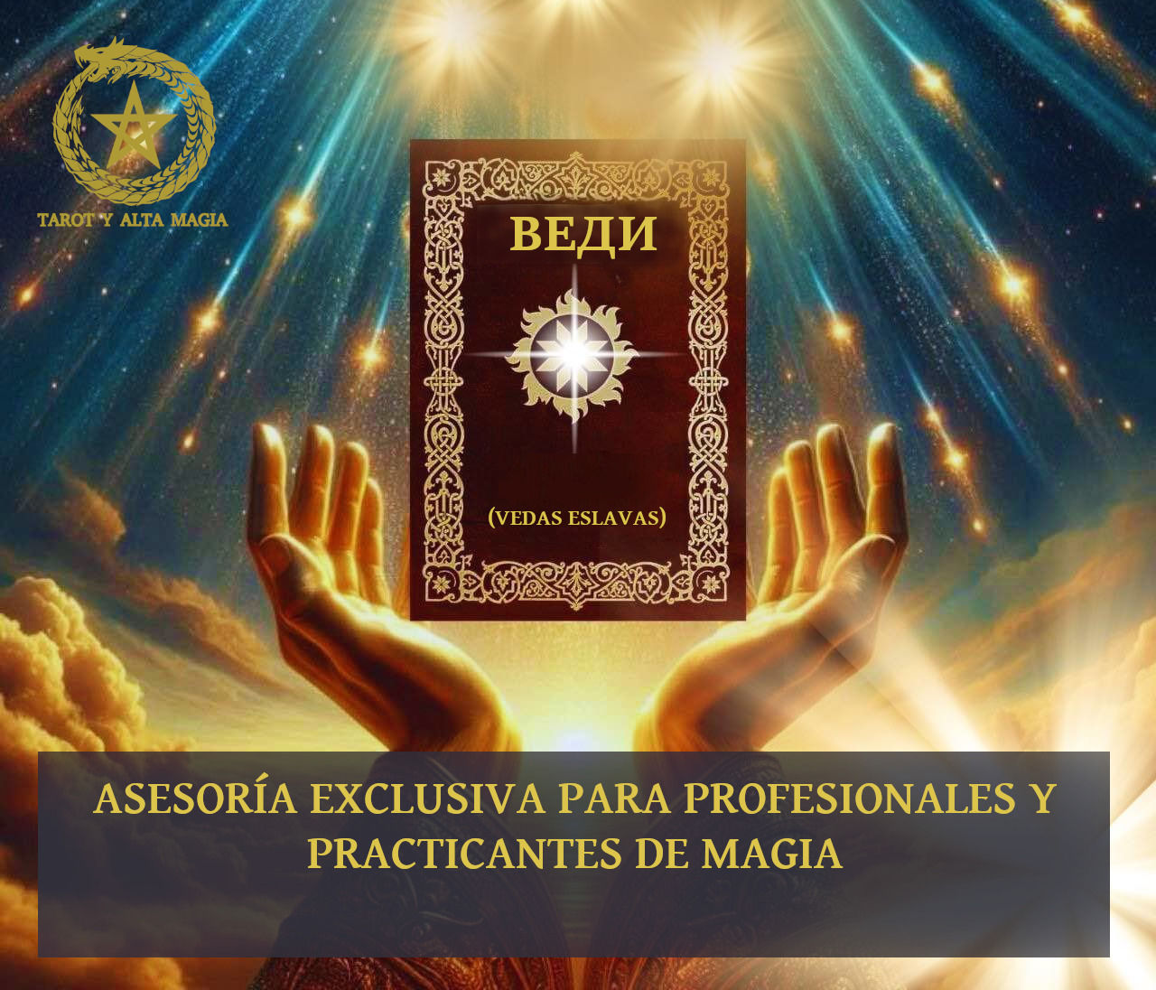ASESORÍA PARA PRACTICANTES Y PROFESIONALES