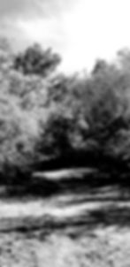 A Path to Somewhere