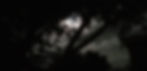 Monochrome Moonlight