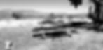 Lakeside Picnic Table