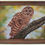 Thumbnail: Barred Owl